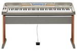 Đàn Organ Casio WK-8000